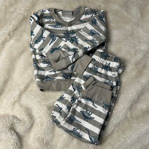 Kids Dinosaur two piece set